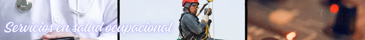 servicios en salud ocupacional